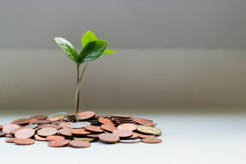 Personal Loans